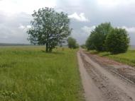 Підвисоке з panoramio.com