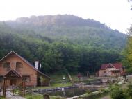 Раково з panoramio.com