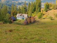 Путила з panoramio.com