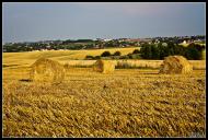 Бармаки з panoramio.com