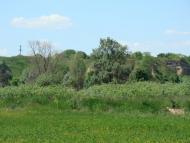 Тарасівка з panoramio.com