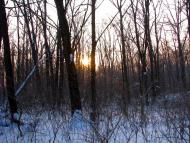 Волиця з panoramio.com