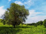 Булавинське з panoramio.com