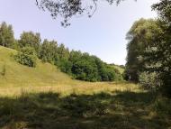 Бужанка з panoramio.com