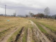 Бобруйки з panoramio.com