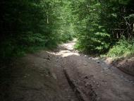 Ярок з panoramio.com