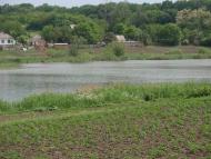 Мар'янське з panoramio.com