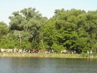 Басове з panoramio.com