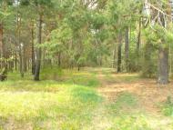 Дешки з panoramio.com