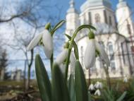 Козова з panoramio.com