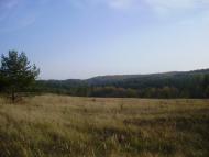 Тернова з panoramio.com