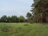 Карпенкове з panoramio.com