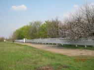 Вірівка з panoramio.com