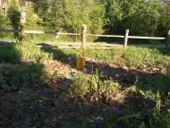 Віжомля з panoramio.com