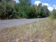 Сидоровичі з panoramio.com