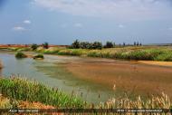 Кошари з panoramio.com - Кошары