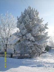 Златоустівка з panoramio.com