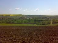 Мар'янівка з panoramio.com