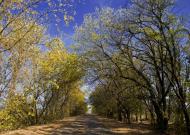 Вільне з panoramio.com