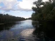 Шостакове з panoramio.com