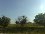 Зелений Гай - Останні фото