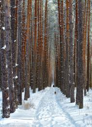 Великий Карашин з panoramio.com