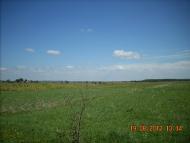 Негівці з panoramio.com