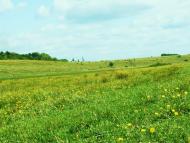 Розсохувата - Останні фото