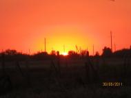 Вірівка з panoramio.com