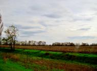 Довгалівське - Останні фото