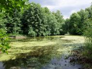 Остап'є з panoramio.com