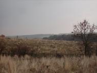 Побірка з panoramio.com