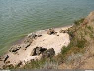 Широкине з panoramio.com