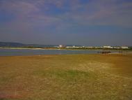 Дачне з panoramio.com