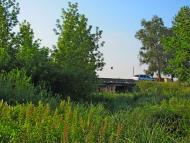 Кустин з panoramio.com