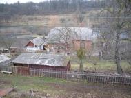 Вербка з panoramio.com