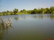 Вишняківка з panoramio.com