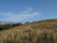 Придніпрянське з panoramio.com