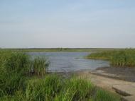 Шостакове з panoramio.com