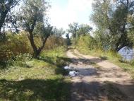 Шостакове з panoramio.com