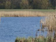 Макарівка з panoramio.com