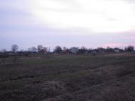 Іванків з panoramio.com