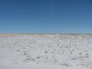 Нова Семенівка з panoramio.com