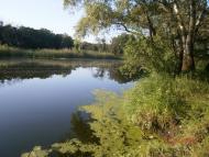 Айдар-Миколаївка з panoramio.com