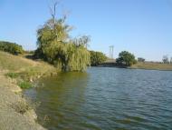 Золотарівка з panoramio.com