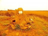 Тамара з panoramio.com