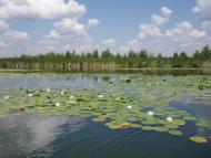 Остап'є з panoramio.com