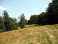 Вучкове з panoramio.com