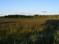 Кузьки з panoramio.com