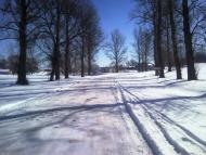 Рогізне з panoramio.com